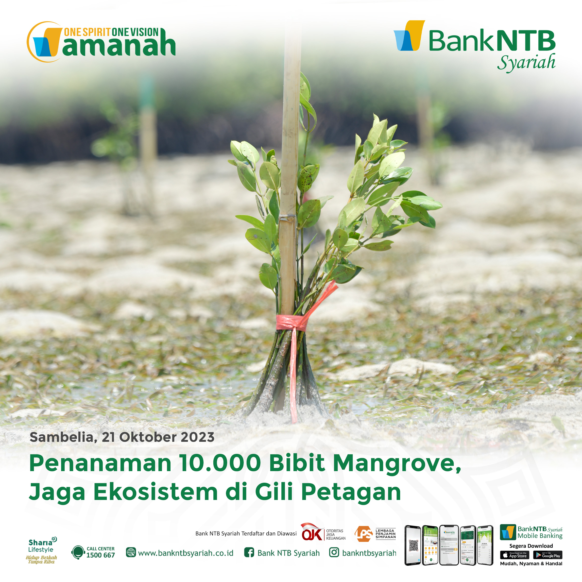 Penanaman-10-000-bibit-Mangrove-Jaga-Ekosistem-di-Gili-Petagan.html